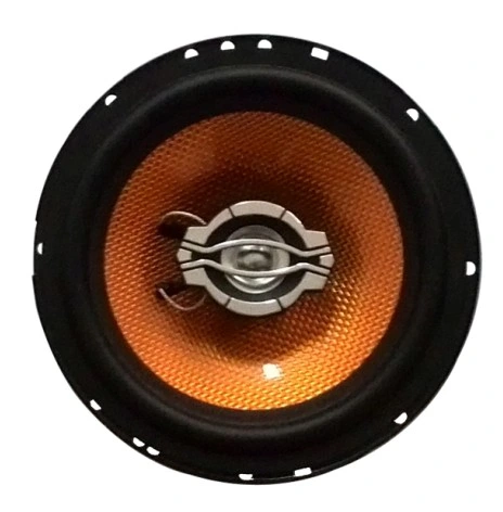 Speaker/Car Audio/Car Woofer/Car Speaker/Ceiling Speaker/Tweeter/Wall Mount Speaker