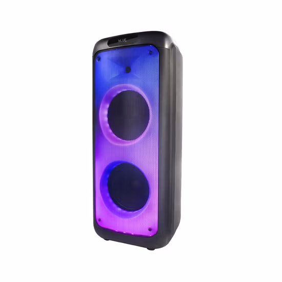 Tms-1035 Temeisheng Distributor Dual 10 Inch FM Audio Bluetooth DJ a-Like Portable Partybox Speaker