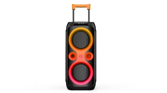 2022 Altavoz privado Alta potencia PA Audio Dual 10 pulgadas Inalámbrico Bluetooth DJ Disco Karaoke Woofer Altavoces para fiestas con amplificador incorporado Caixa De Son De 100W