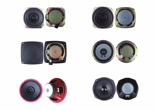 Altavoz/Audio para automóvil/woofer para automóvil/Altavoz para automóvil/Altavoz de techo/Tweeter/Altavoz de montaje en pared